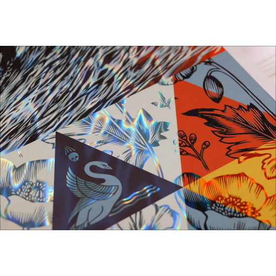 Shepard Fairey – Wave of Distress (2025) - Hoja de lavado