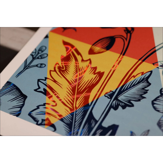 Shepard Fairey – Wave of Distress (2025) - Hoja de lavado