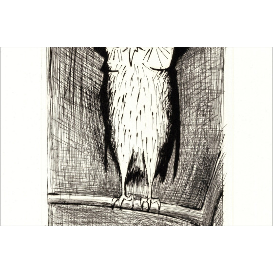 Bernard Buffet - Hibou 1984, incisione originale firmata