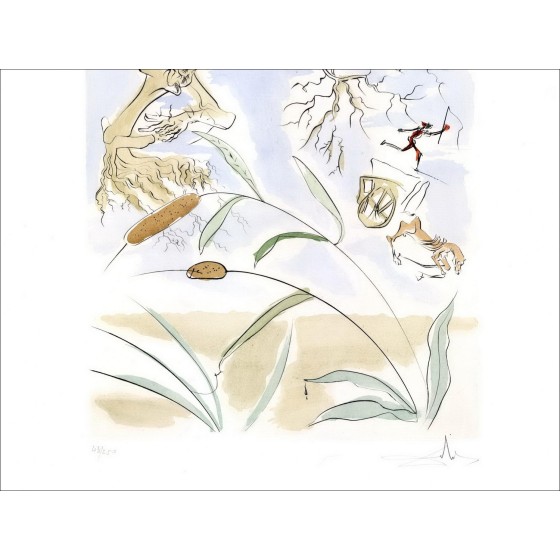 Kaufen Sie die Eiche und das Reed eine Lithographie von Salvador Dali 