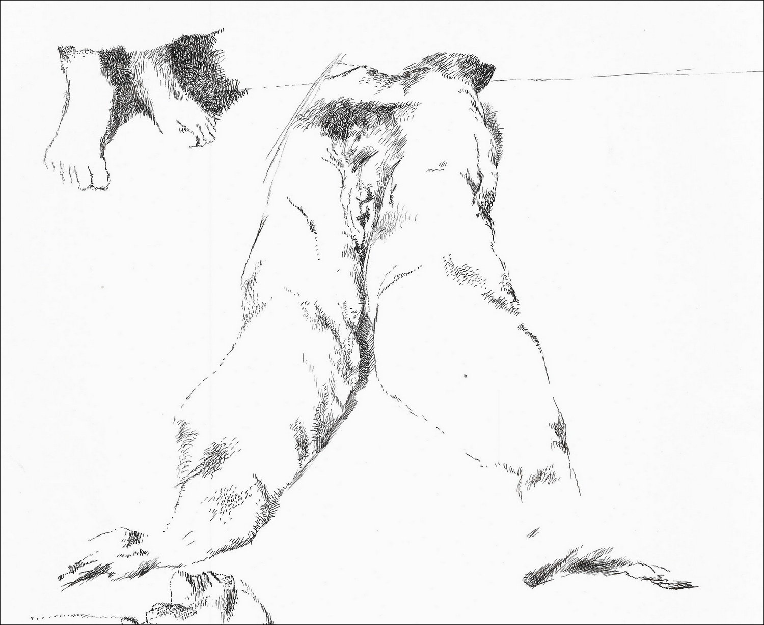 RUSTIN Jean - Disegno originale ad inchiostro "Corpo e piedi" 37x31cm - 1974