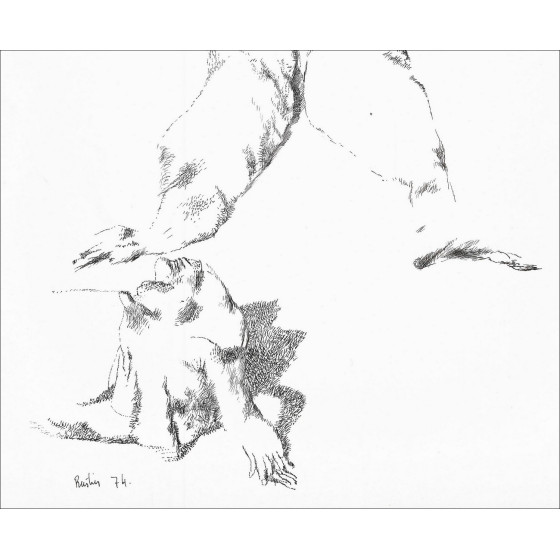 RUSTIN Jean - Disegno originale ad inchiostro "Corpo e piedi" 37x31cm - 1974