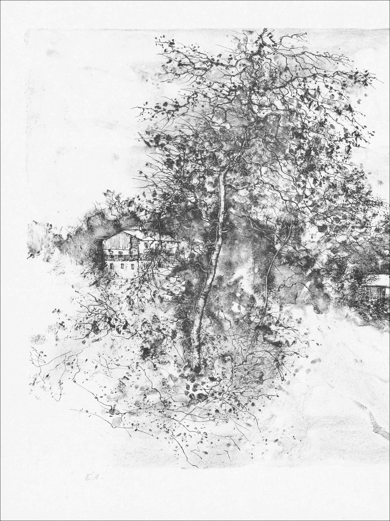 Bernard Gantner, Tussen de meren, originele lithografie