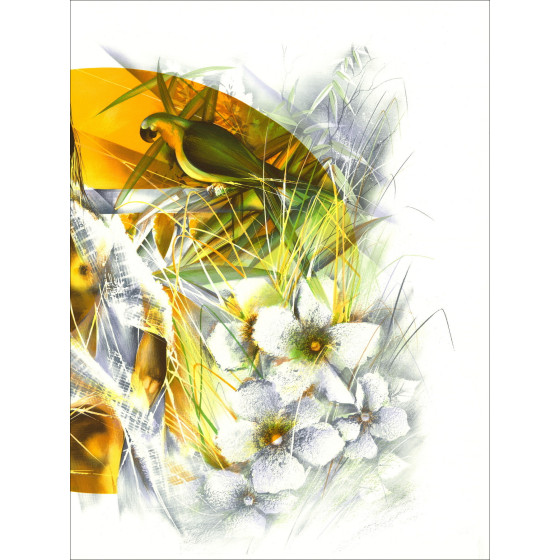 POULET Raymond - Lithographie originale "Les perroquets" 56x76cm