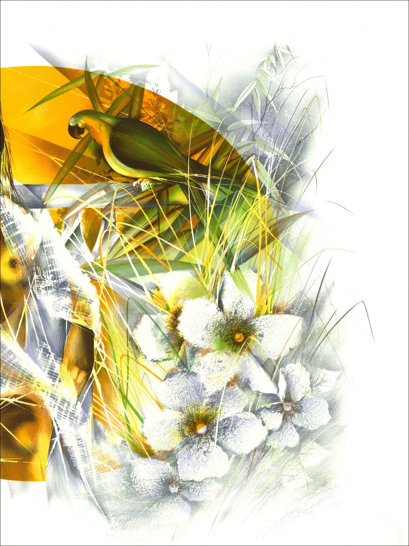 POULET Raymond - Litografia originale "I pappagalli" 56x76cm