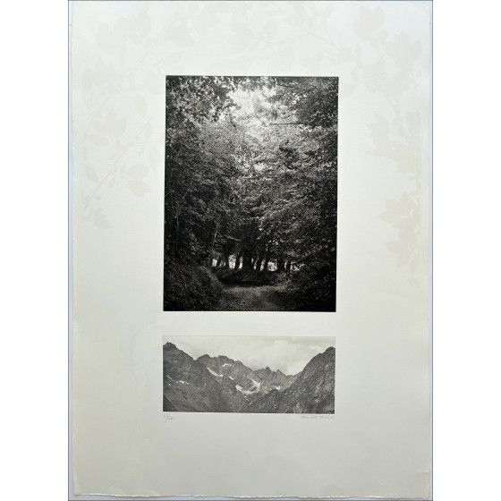 Philippe Martin, Paesaggio, incisione originale firmata