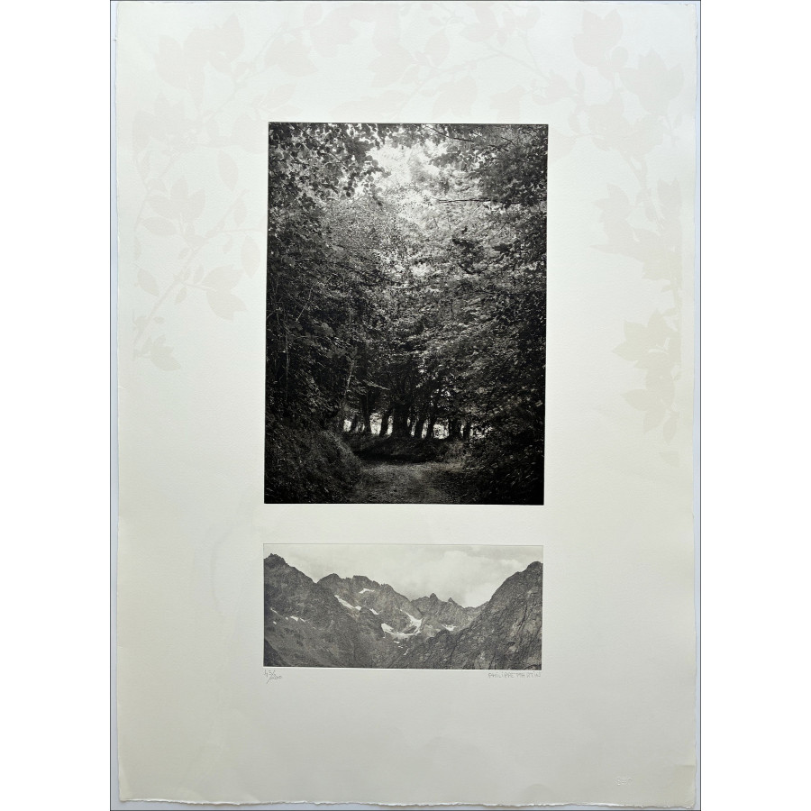 Philippe Martin, Landscape, original signed engraving