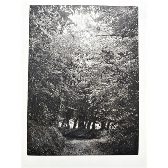 Philippe Martin, Paisaje, grabado original firmado