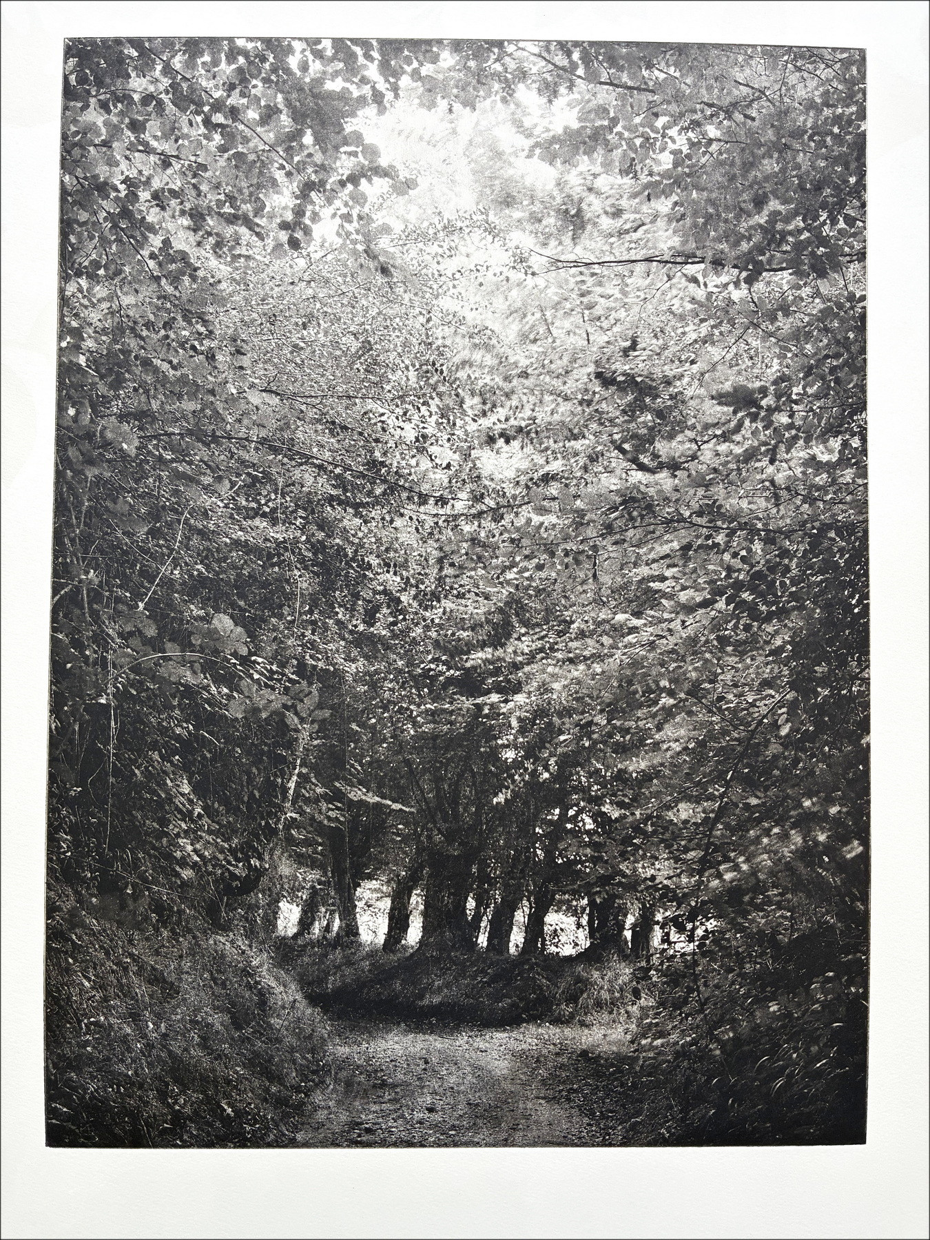 Philippe Martin, Paysage, gravure originale signée