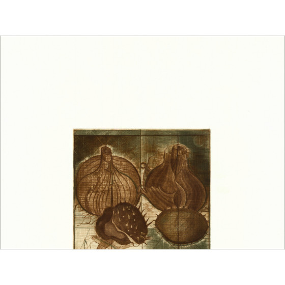 Brigitte Coudrain, Stilleven, originele gravure