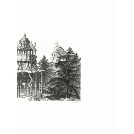 Jacques Houplain, Garten der Illusionen, Originalgravur