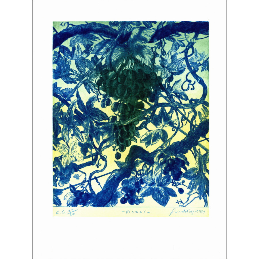 DIAZ Gérard - Gravure originale "Vignes" 66x50cm - 1999