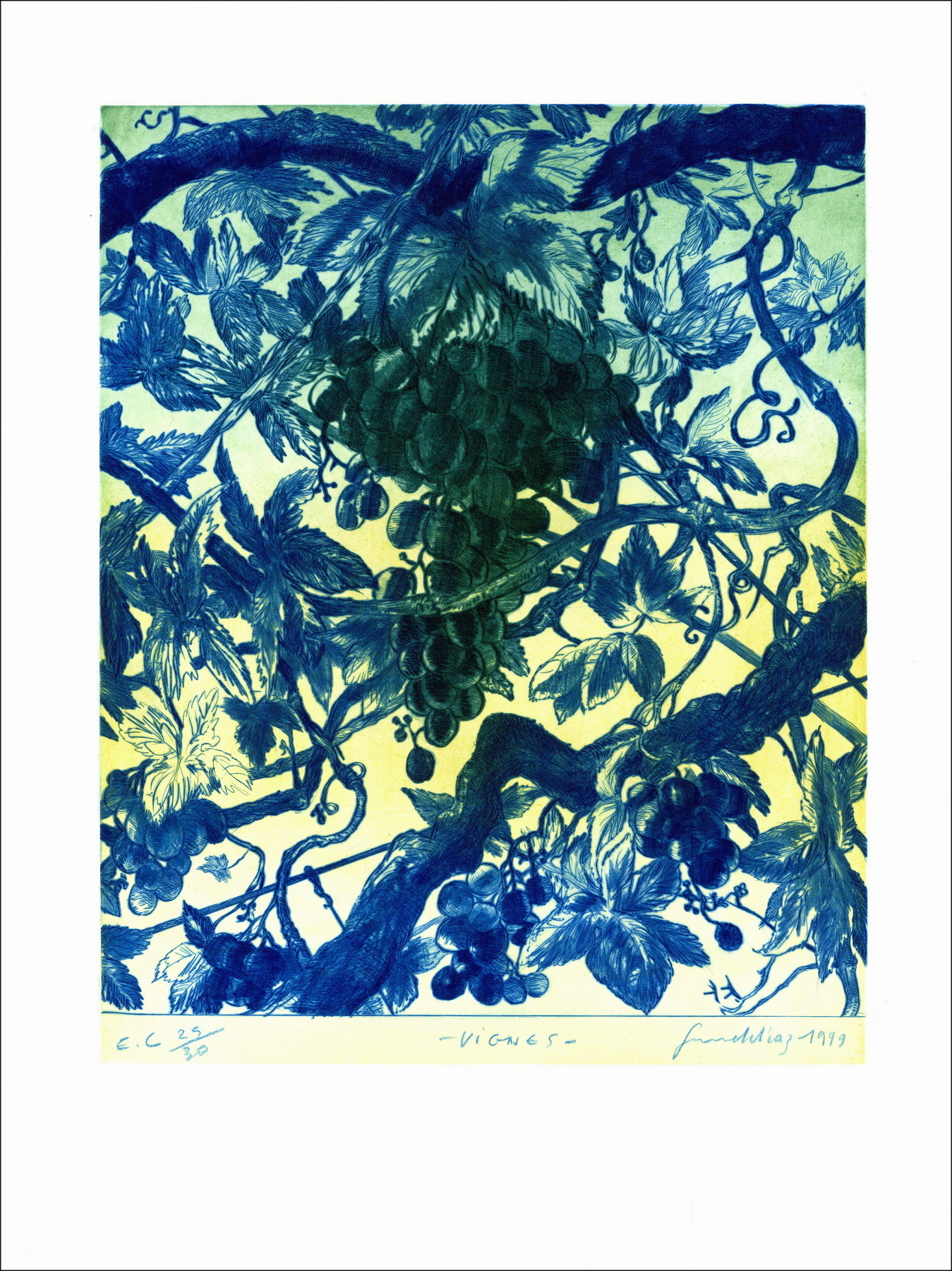 DIAZ Gérard - Originalgravur "Weinberge" 66x50cm - 1999