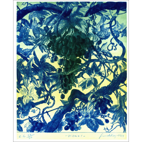 DIAZ Gérard - Original engraving "Vines" 66x50cm - 1999