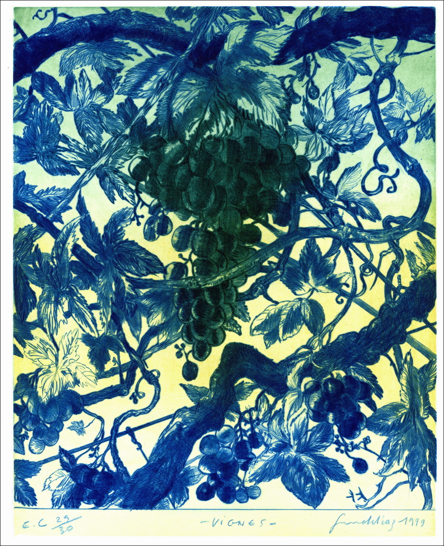 DIAZ Gérard - Incisione originale "Vigneti" 66x50cm - 1999