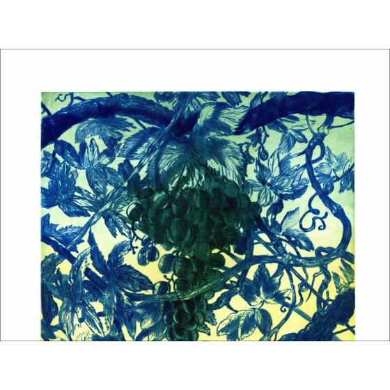 DIAZ Gérard - Grabado original "Viñedos" 66x50cm - 1999