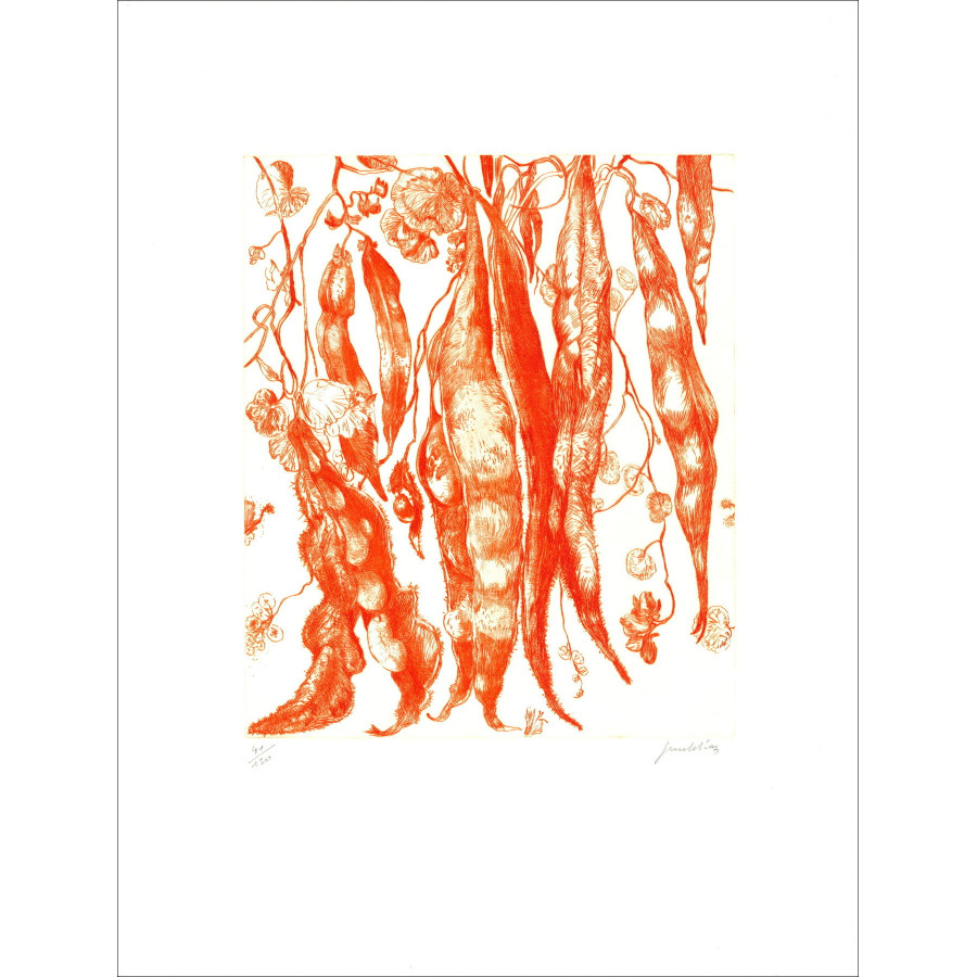 DIAZ Gérard - Gravure originale "Haricots" 66x50cm