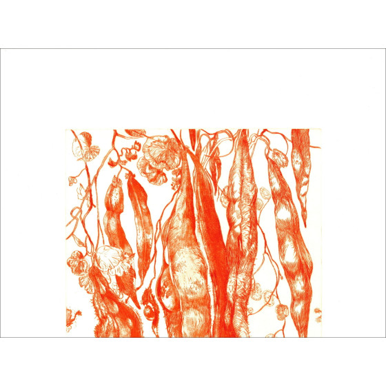 DIAZ Gérard - Originele gravure "Bonen" 66x50cm