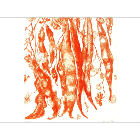 DIAZ Gérard - Gravure originale "Haricots" 66x50cm