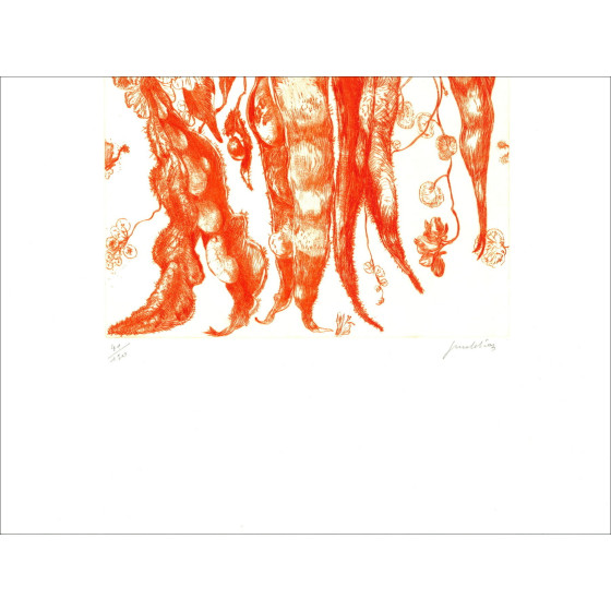 DIAZ Gérard - Originele gravure "Bonen" 66x50cm
