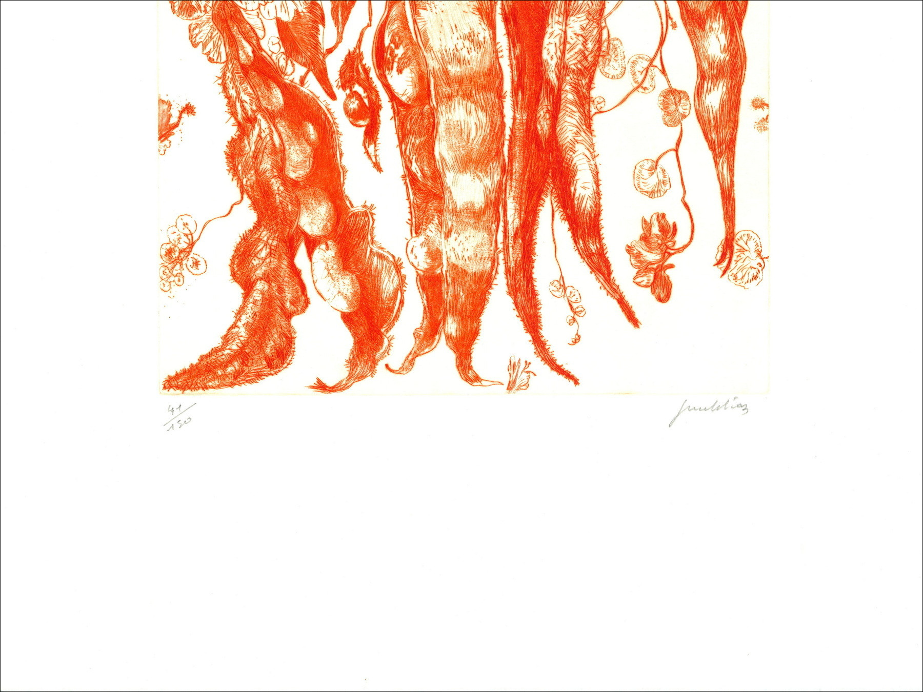 DIAZ Gérard - Original engraving "Haricots" 66x50cm
