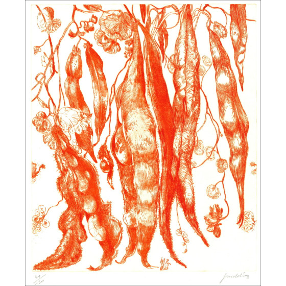 DIAZ Gérard - Grabado original "Judías" 66x50cm