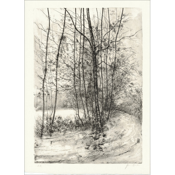 GANTNER Bernard - Litografia originale "Il sentiero"