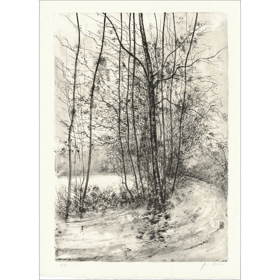 GANTNER Bernard - Litografía original "El camino"