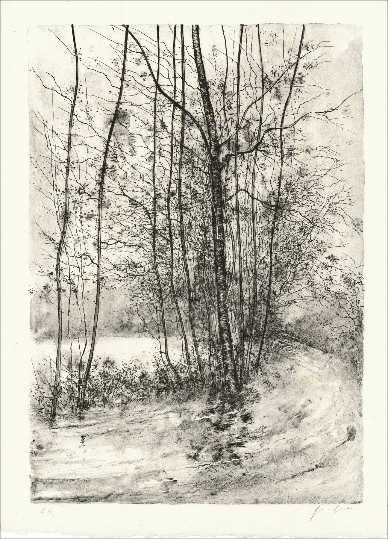 GANTNER Bernard - Lithographie originale "Le chemin"