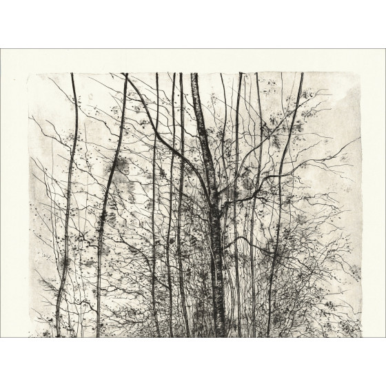 GANTNER Bernard - Original lithograph "The path"