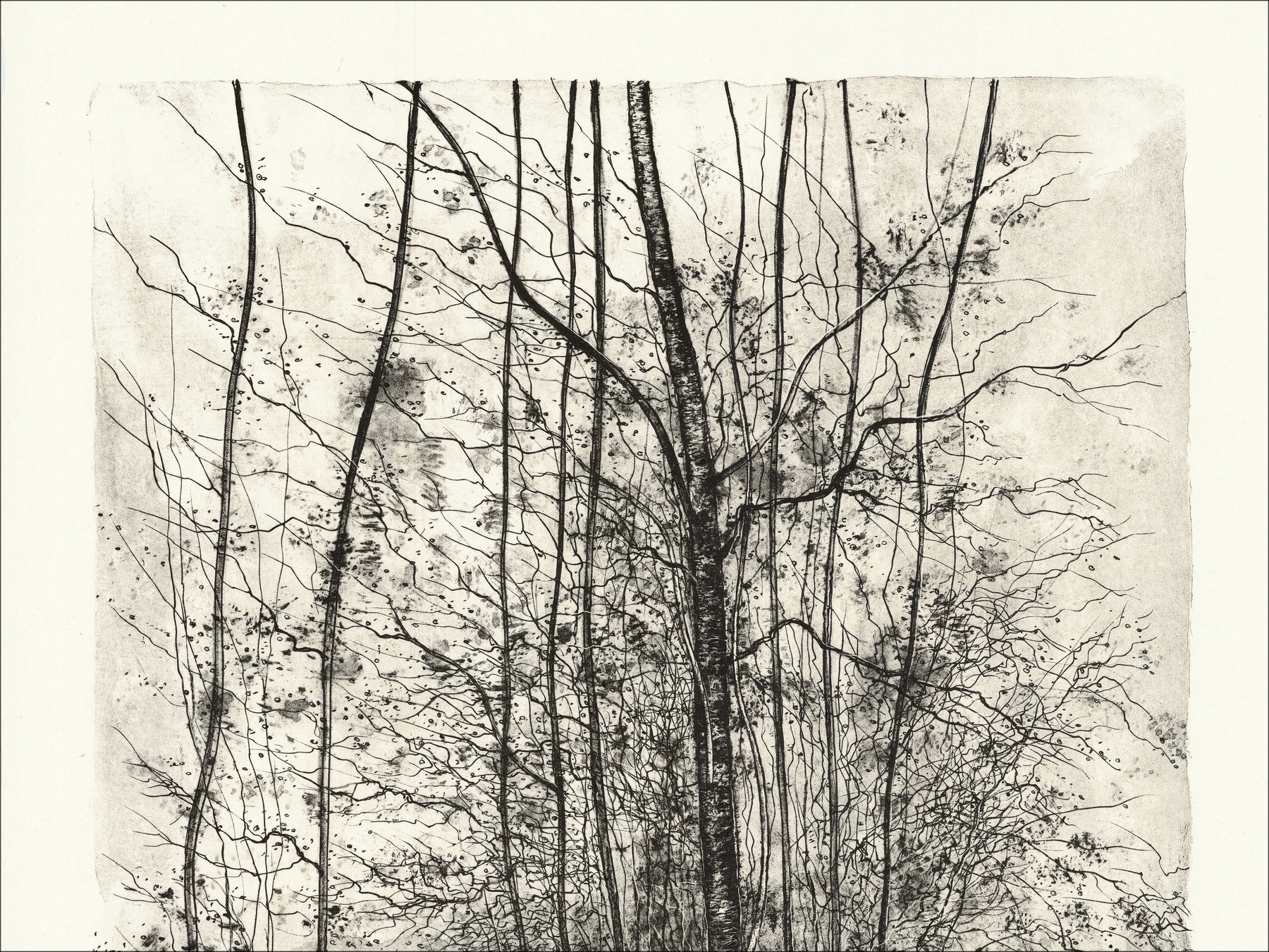 GANTNER Bernard - Litografía original "El camino"