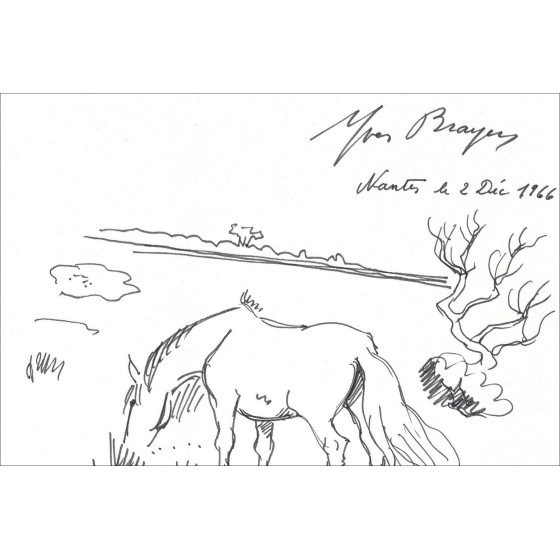 Yves Brayer, Cavallo in Camargue (1966) | Disegno originale firmato