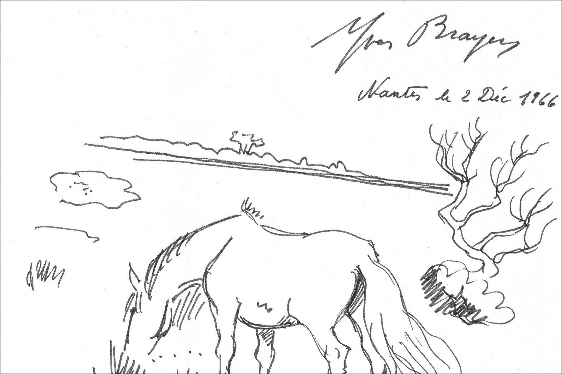 Yves Brayer, Caballo en Camarga (1966) | Dibujo original firmado