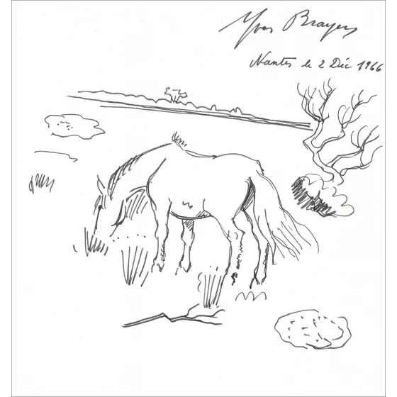 Yves Brayer, Cheval en Camargue (1966) | Dessin original signé