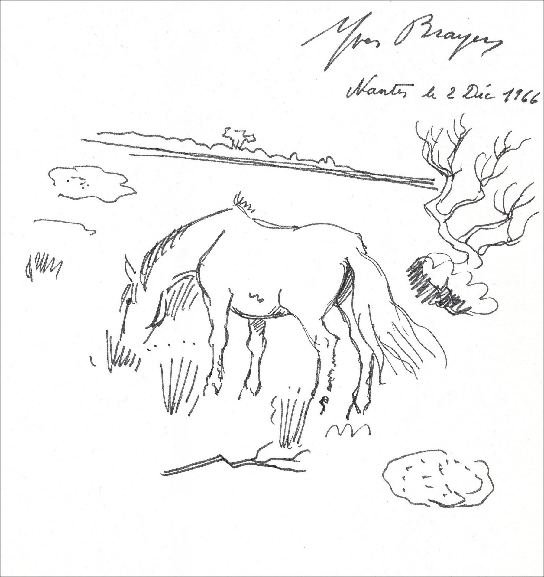 Yves Brayer, Cavallo in Camargue (1966) | Disegno originale firmato