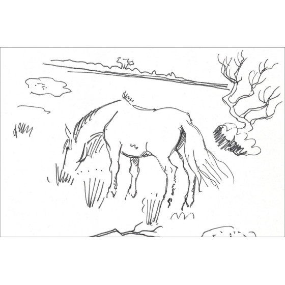 Yves Brayer, Pferd in der Camargue (1966) | Originalzeichnung signiert