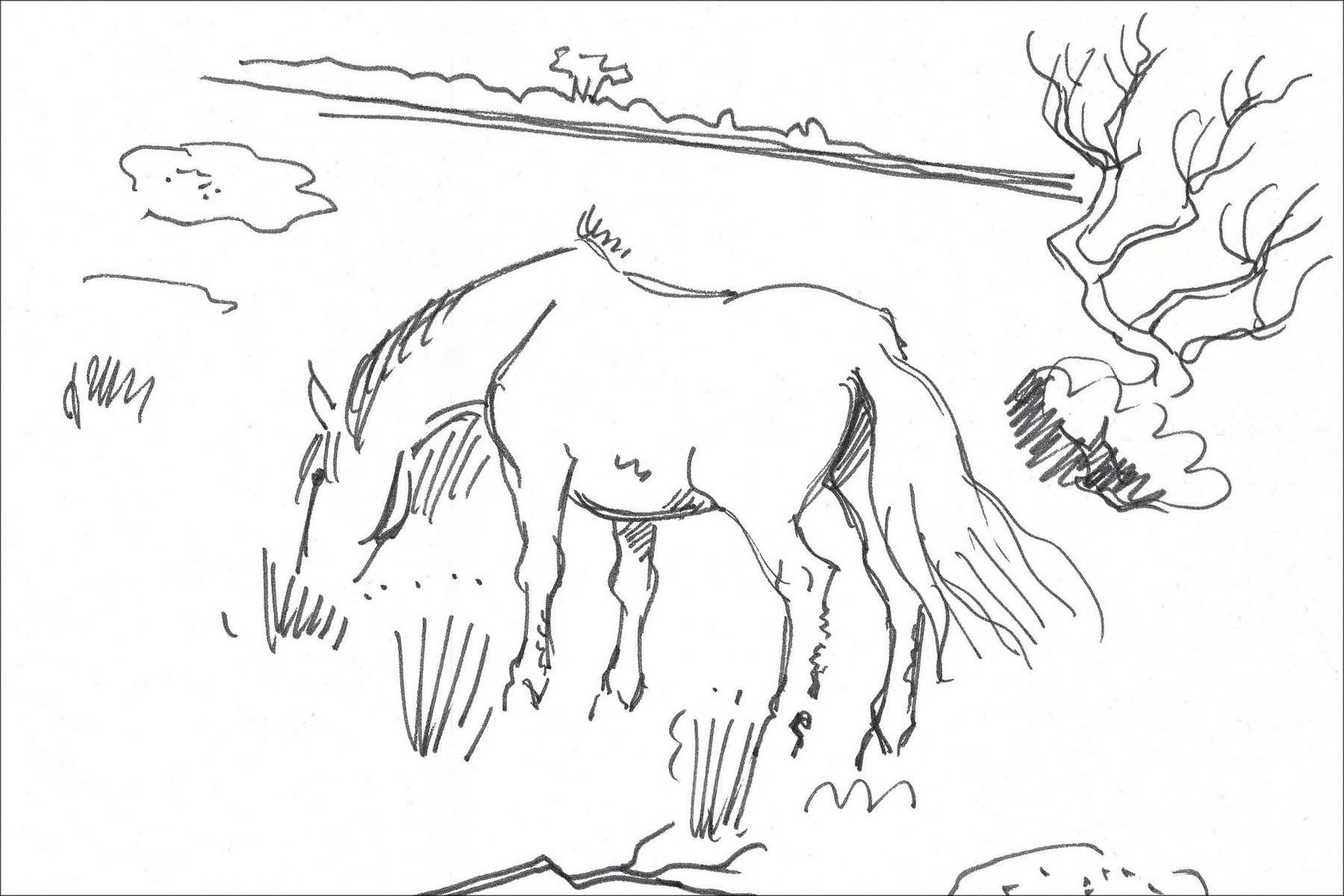 Yves Brayer, Caballo en Camarga (1966) | Dibujo original firmado
