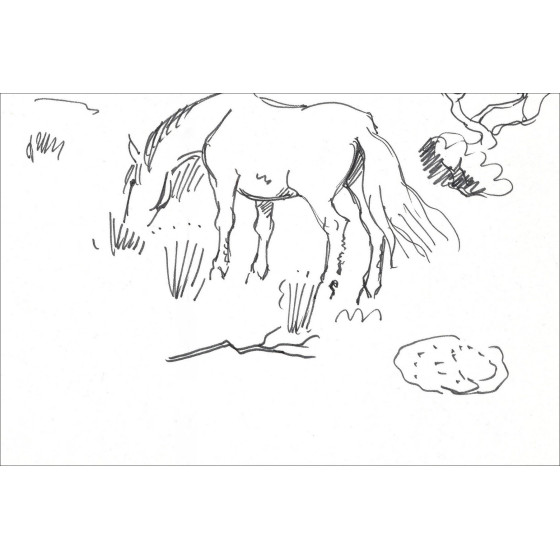 Yves Brayer, Pferd in der Camargue (1966) | Originalzeichnung signiert