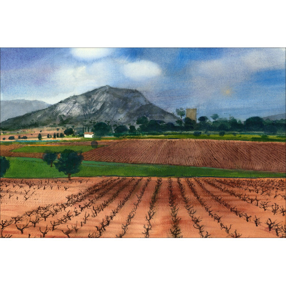 Michel Ciry - Originele tekening "karakter" 24x18cm