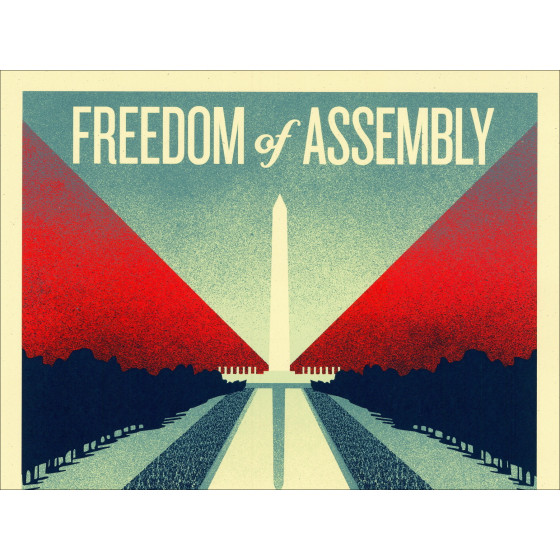 SHEPARD FAIREY (OBEY) - Siebdruck "VERTEIDIGEN SIE IHRE FREIHEITEN - FREIHEIT DER VERSAMMLUNG" 61x46cm - 2026