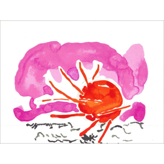 André Marchand - Hommage à Raoul Dufy, lithographie Mourlot