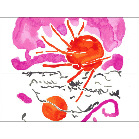 André Marchand - Eerbetoon aan Raoul Dufy, lithografie Mourlot