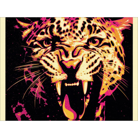 Shepard Fairey - Social Distortion Born to Kill, Siebdruck 2026