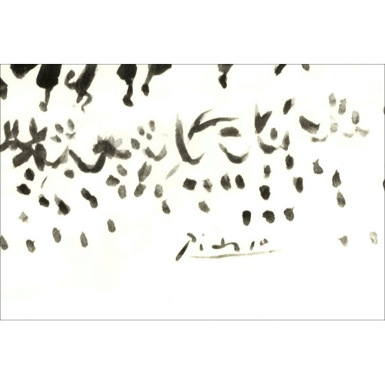 Pablo Picasso, Vive la Paix – Lithografie 65x50 cm | Galerie 125