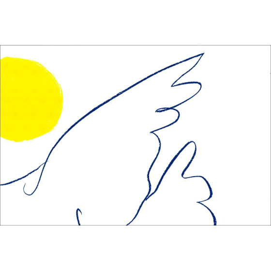 Pablo Picasso, Colombe de l'avenir – Litografia 50x65 cm