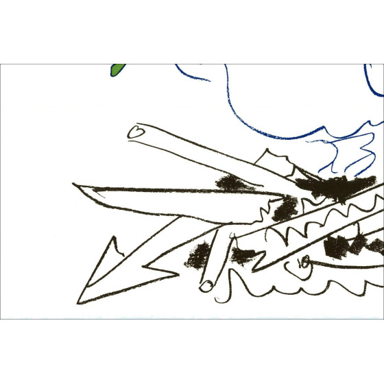 Pablo Picasso, Colombe de l'avenir – Litografia 50x65 cm
