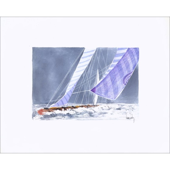 "Le spie porpora" di Olivier Suere-Verley: acquerello 40x50 cm, certificato.