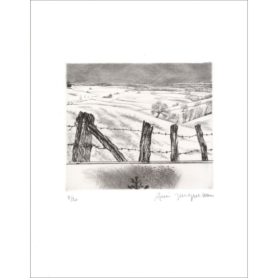 Acquista il paesaggio di incisione originale 12 di André Jacquemin del 1984