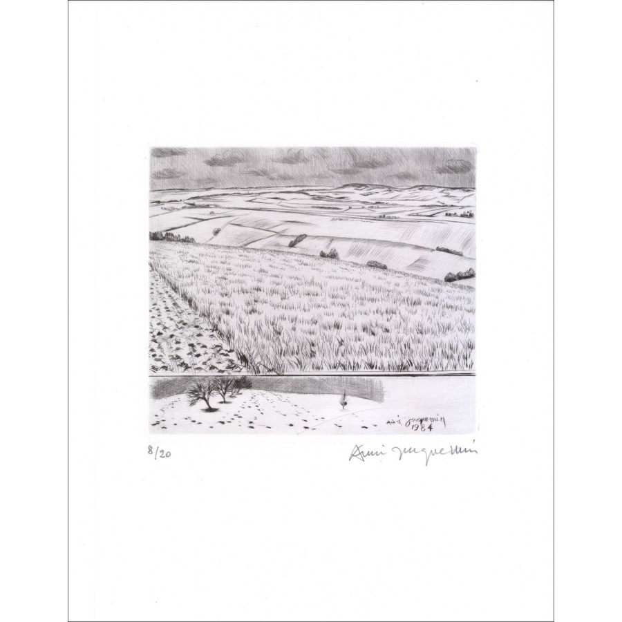 André JACQUEMIN Gravure Original Landscape 14 de 1984