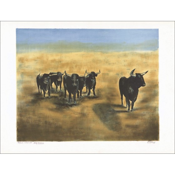 ZAROU : Bulls en Camargue - Litografía original firmada a lápiz